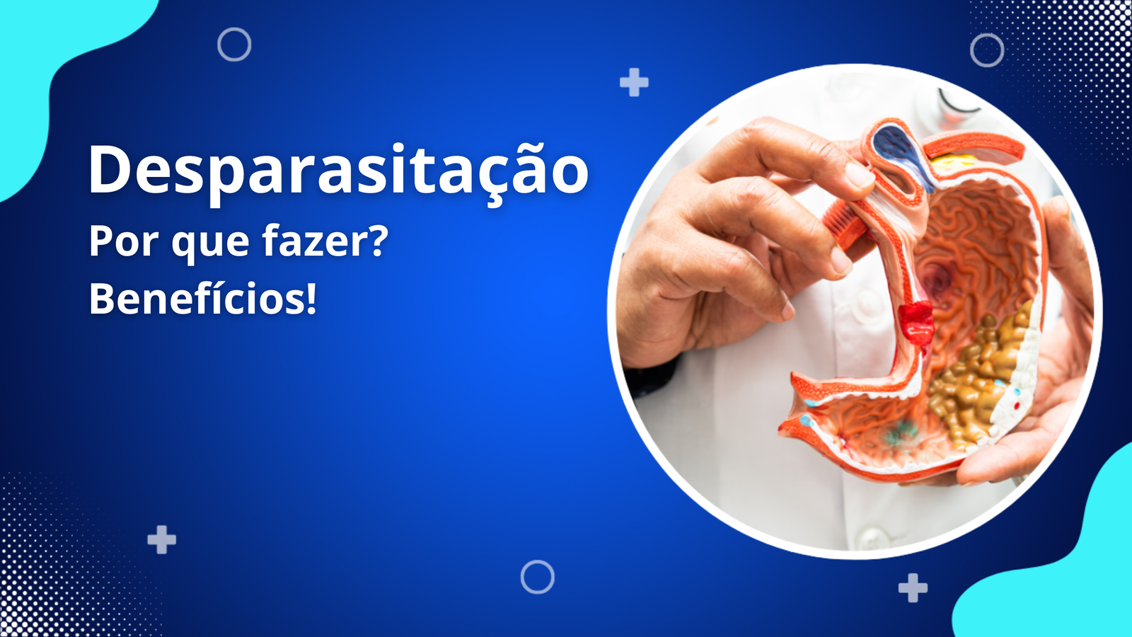 Desparasitação: O Que É e Quais os Benefícios Para a Saúde