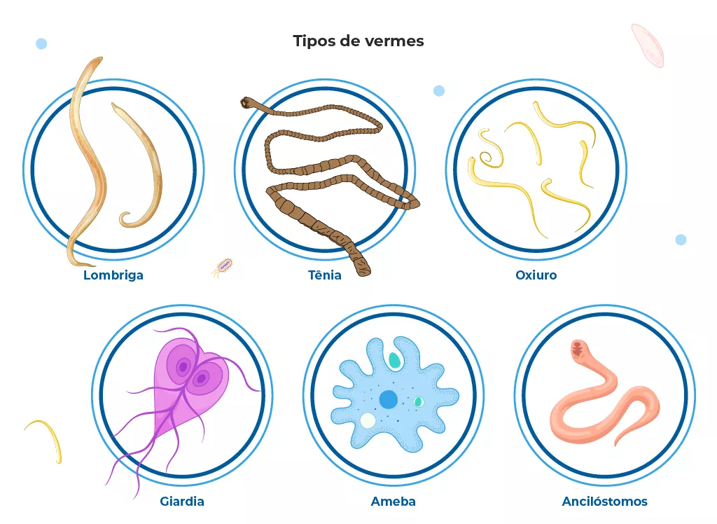 o-que-sao-vermes-intestinais-conheca-os-tipos-e-como-prevenir