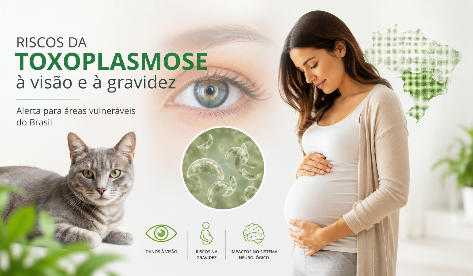 Ilustração sobre os riscos da toxoplasmose para a visão, gravidez e sistema neurológico em áreas vulneráveis do Brasil.